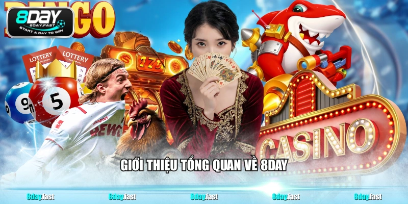 Giới thiệu tổng quan về 8DAY