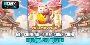 Mèo chiêu tài